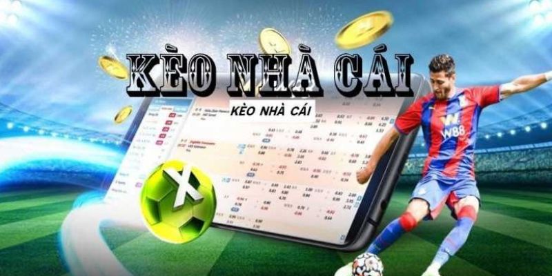 Những lưu ý khi tham gia cá cược tại kèo nhà cái 